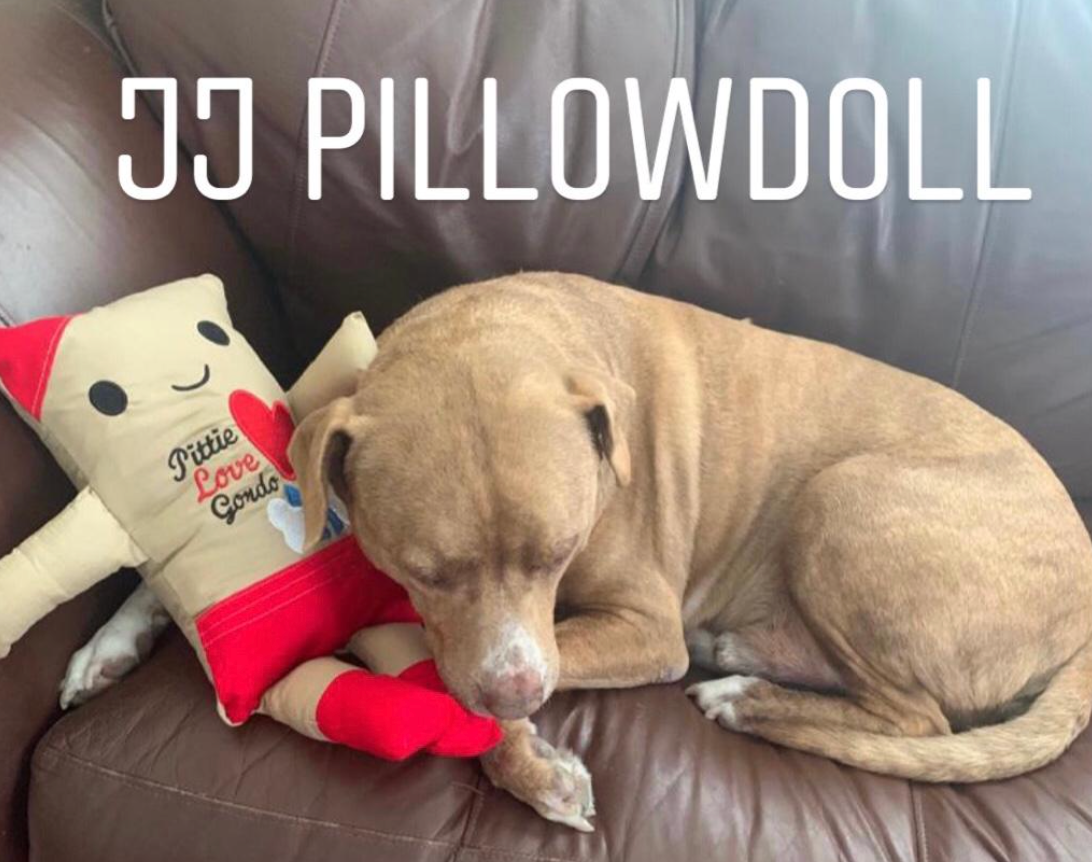 4 JJ Pillowdoll Love my Puppy