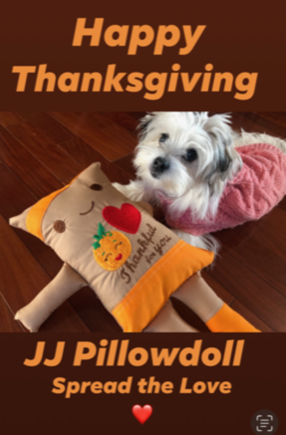 111 JJ Pillowdoll Thanksgiving (Personalize or Generic)